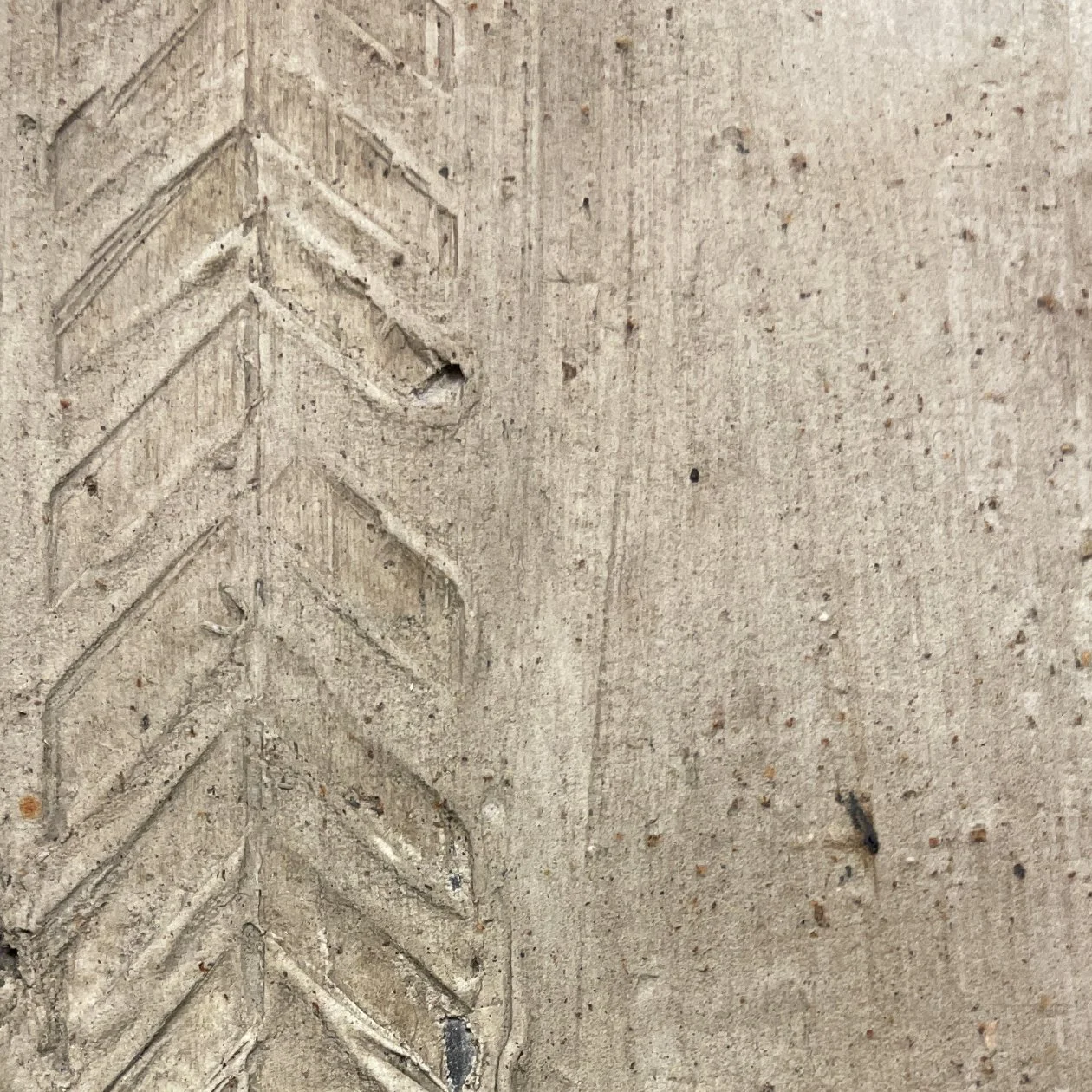 Herring surface detail