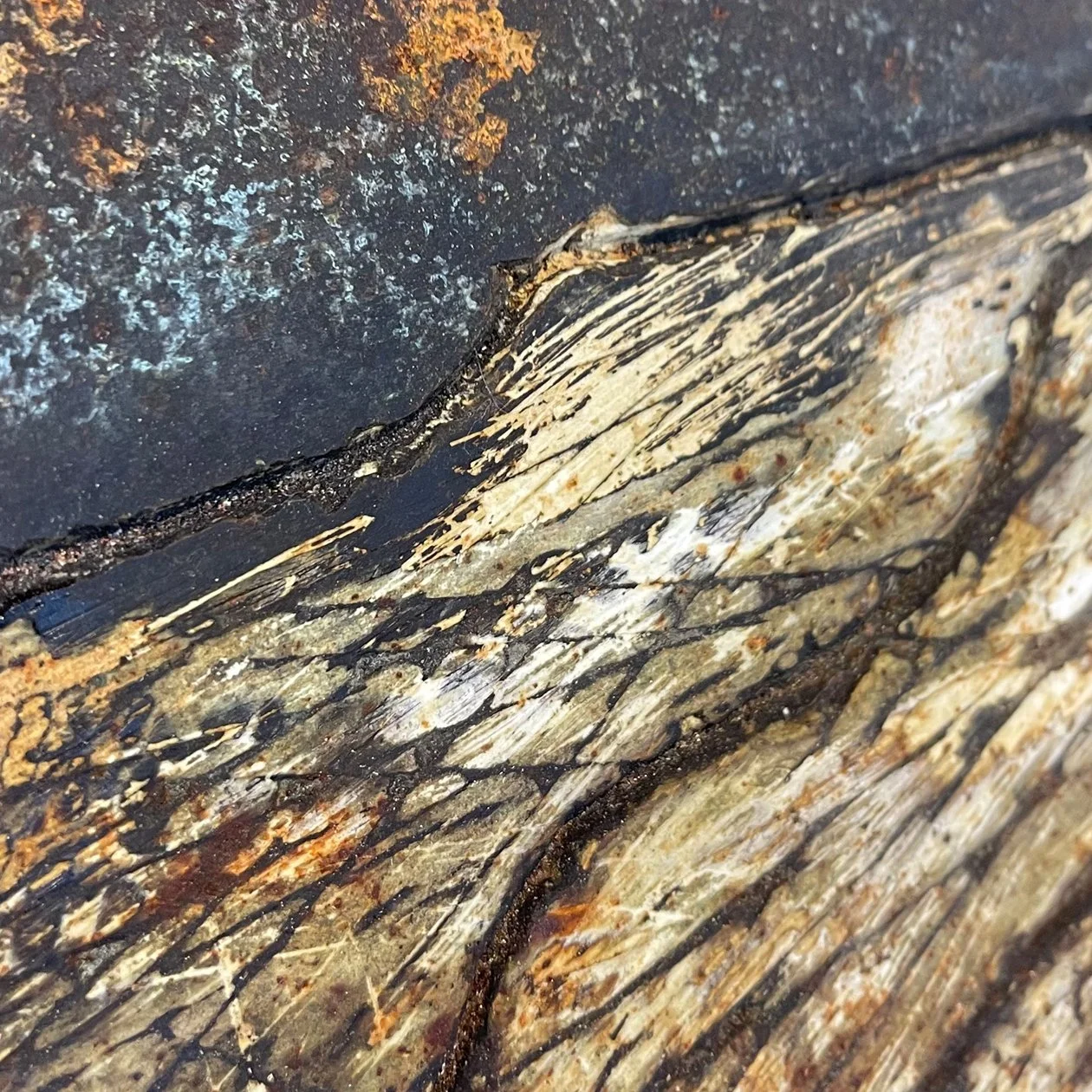 Lines surface detail
